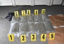 Novopazarac “pao” sa 10 kilograma marihuane (FOTO) novopazarac-“pao”-sa-10-kilograma-marihuane-(foto)