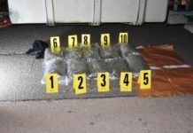 Novopazarac prevozio drogu kamionom novopazarac-prevozio-drogu-kamionom