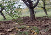 Novac ubijenih Đokića krio i u usisivaču Džonić ubio rođake da bi vratio dugove? novac-ubijenih-djokica-krio-i-u-usisivacu-dzonic-ubio-rodjake-da-bi-vratio-dugove?