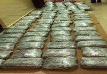 Akcija u Prijepolju: Kod dilera zaplenjeno 90 kilograma marihuane akcija-u-prijepolju:-kod-dilera-zaplenjeno-90-kilograma-marihuane