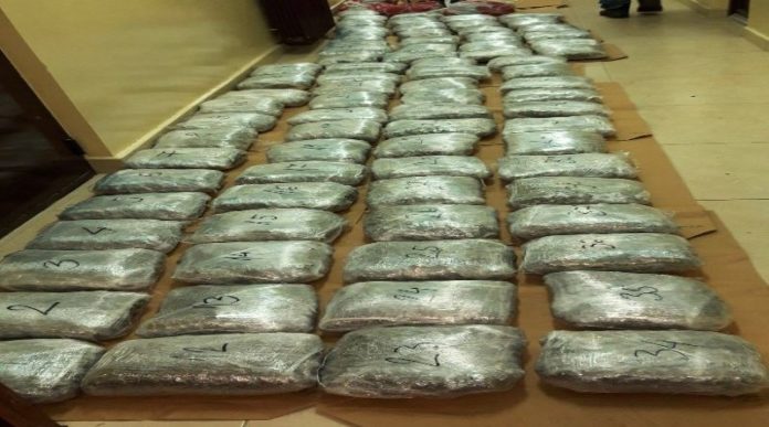 akcija-u-prijepolju:-kod-dilera-zaplenjeno-90-kilograma-marihuane