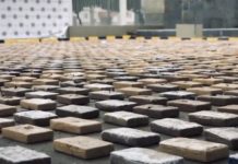 Više od četiri tone kokaina zaplenjeno u roterdamskoj luci vise-od-cetiri-tone-kokaina-zaplenjeno-u-roterdamskoj-luci