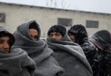 Srbijanska i turska policija privele 125 neregularnih migranata na granici sa Hrvatskom srbijanska-i-turska-policija-privele-125-neregularnih-migranata-na-granici-sa-hrvatskom