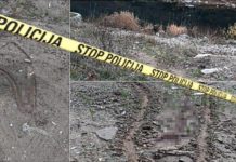 TRAGOVI KRVI NAĐENI U KUĆI MUŠKARCA ZA KOG SE SUMNJA DA JE UBIO KRALJEVČANKU? Nakon toga njeno telo bacio u Ibar i dalje u bekstvu tragovi-krvi-nadjeni-u-kuci-muskarca-za-kog-se-sumnja-da-je-ubio-kraljevcanku?-nakon-toga-njeno-telo-bacio-u-ibar-i-dalje-u-bekstvu