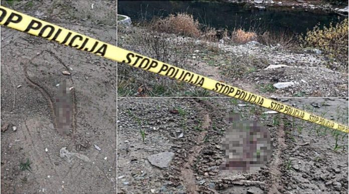 tragovi-krvi-nadjeni-u-kuci-muskarca-za-kog-se-sumnja-da-je-ubio-kraljevcanku?-nakon-toga-njeno-telo-bacio-u-ibar-i-dalje-u-bekstvu tragovi-krvi-nadjeni-u-kuci-muskarca-za-kog-se-sumnja-da-je-ubio-kraljevcanku?-nakon-toga-njeno-telo-bacio-u-ibar-i-dalje-u-bekstvu