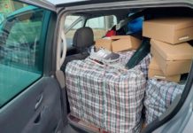 I mravlji šverc nanosi štetu državi i-mravlji-sverc-nanosi-stetu-drzavi