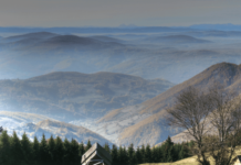 Osnovan naučni centar Ras na Goliji osnovan-naucni-centar-ras-na-goliji