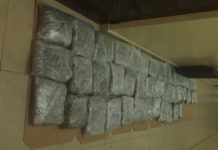 Prijepolje: Zaplenjeno 53,2 kilograma marihuane prijepolje:-zaplenjeno-53,2-kilograma-marihuane