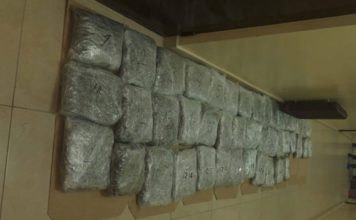Prijepolje: Zaplenjeno 53,2 kilograma marihuane prijepolje:-zaplenjeno-53,2-kilograma-marihuane