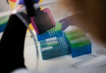 Omikron otkriven u 38 zemalja, nema smrtnih slučajeva omikron-otkriven-u-38-zemalja,-nema-smrtnih-slucajeva