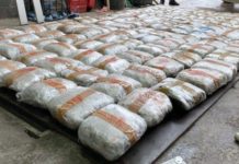 VELIKA ZAPLENA! Preko 155 kilograma marihuane u ”bunkeru” kamiona (FOTO) velika-zaplena!-preko-155-kilograma-marihuane-u-”bunkeru”-kamiona-(foto)