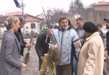 Podeljene sadnice jasena novopazarskim osnovnim školama podeljene-sadnice-jasena-novopazarskim-osnovnim-skolama