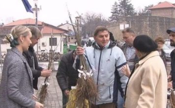 Podeljene sadnice jasena novopazarskim osnovnim školama podeljene-sadnice-jasena-novopazarskim-osnovnim-skolama