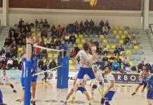 Halilović sa 33 poena srušio VGSK halilovic-sa-33-poena-srusio-vgsk