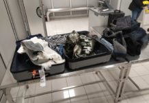 Pogledajte kako je otkriven muškarac koji je sa koferom punim garderobe natopljene kokainom pokušao da uđe u Srbiju pogledajte-kako-je-otkriven-muskarac-koji-je-sa-koferom-punim-garderobe-natopljene-kokainom-pokusao-da-udje-u-srbiju