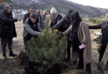 Na “Pazarskoj plaži” zasađeno 66 stabala u znaku sećanja na Mustafu Muja Crnišanina na-“pazarskoj-plazi”-zasadjeno-66-stabala-u-znaku-secanja-na-mustafu-muja-crnisanina