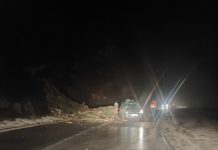 DRVO PALO NA AUTOMOBIL U POKRETU! Srećom nije bilo nastradalih drvo-palo-na-automobil-u-pokretu!-srecom-nije-bilo-nastradalih