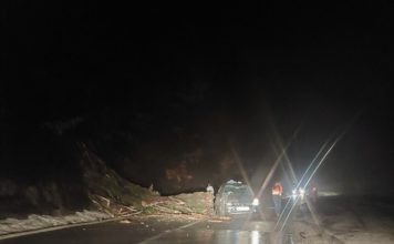 DRVO PALO NA AUTOMOBIL U POKRETU! Srećom nije bilo nastradalih drvo-palo-na-automobil-u-pokretu!-srecom-nije-bilo-nastradalih