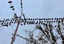 Evo gde danas neće biti struje u Novom Pazaru evo-gde-danas-nece-biti-struje-u-novom-pazaru