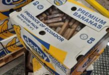 U Crnoj Gori zaplenjeno još pola tone kokaina, niko nije uhapšen u-crnoj-gori-zaplenjeno-jos-pola-tone-kokaina,-niko-nije-uhapsen