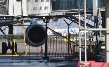 Novak Ðoković stigao u Beograd novak-dokovic-stigao-u-beograd