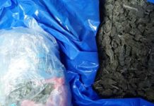 DVA MUŠKARCA PREVOZILA DROGU U AUTOMOBILU! Policija u Bogutovcu zaplenila oko kilogram marihuane dva-muskarca-prevozila-drogu-u-automobilu!-policija-u-bogutovcu-zaplenila-oko-kilogram-marihuane