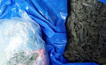 DVA MUŠKARCA PREVOZILA DROGU U AUTOMOBILU! Policija u Bogutovcu zaplenila oko kilogram marihuane dva-muskarca-prevozila-drogu-u-automobilu!-policija-u-bogutovcu-zaplenila-oko-kilogram-marihuane