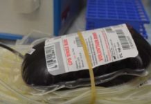 U akciji dobrovoljnog davanja krvi u Novom Pazaru prikupljene 53 jedinice u-akciji-dobrovoljnog-davanja-krvi-u-novom-pazaru-prikupljene-53-jedinice