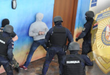 Oduzeta skoro tona kanabisa! Krijumčarima 30 godina i šest meseci zatvora oduzeta-skoro-tona-kanabisa!-krijumcarima-30-godina-i-sest-meseci-zatvora