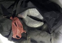 Zaplenjeno 18 kilograma marihuane na granici sa Crnom Gorom zaplenjeno-18-kilograma-marihuane-na-granici-sa-crnom-gorom