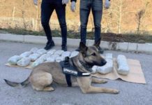 Službeni pas na granici sa Crnom Gorom u automobilu nanjušio 15 kilograma marihuane (FOTO) sluzbeni-pas-na-granici-sa-crnom-gorom-u-automobilu-nanjusio-15-kilograma-marihuane-(foto)