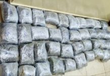 U pograničnom pojasu sa Crnom Gorom zaplenjeno 42 kilograma marihuane u-pogranicnom-pojasu-sa-crnom-gorom-zaplenjeno-42-kilograma-marihuane