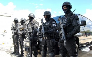 Policijska akcija Golub: Uhapšeno osmoro osumnjičenih za trgovinu narkoticima policijska-akcija-golub:-uhapseno-osmoro-osumnjicenih-za-trgovinu-narkoticima