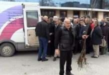 Na inicijativu Nihata Biševca obezbeđene sadnice jabuke i šljive na-inicijativu-nihata-bisevca-obezbedjene-sadnice-jabuke-i-sljive