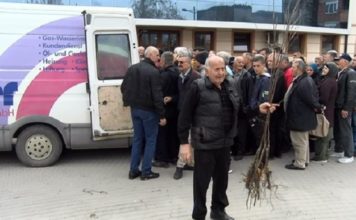 Na inicijativu Nihata Biševca obezbeđene sadnice jabuke i šljive na-inicijativu-nihata-bisevca-obezbedjene-sadnice-jabuke-i-sljive