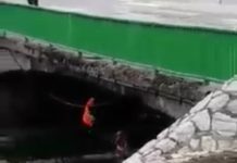 GRAĐANI NOVOG PAZARA OGORČENI! Radnici koji uređuju plato na Trgu prosipaju otpad u reku Rašku gradjani-novog-pazara-ogorceni!-radnici-koji-uredjuju-plato-na-trgu-prosipaju-otpad-u-reku-rasku