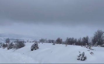 Nove padavine snega ponovo zavejale Goliju nove-padavine-snega-ponovo-zavejale-goliju