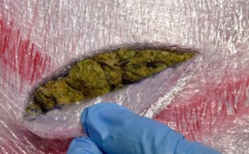 U Maroku zaplenjena 31 tona kanabisa u-maroku-zaplenjena-31-tona-kanabisa