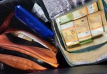 Carina: Ručni frižider napunjen novcem (FOTO) carina:-rucni-frizider-napunjen-novcem-(foto)