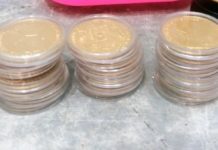 Carina: Zaplenjeni dukati vredni 2 miliona dinara carina:-zaplenjeni-dukati-vredni-2-miliona-dinara