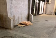 UŽAS U NOVOM PAZARU! Deca od 3 godine “po kazni” spavaju na pločniku uzas-u-novom-pazaru!-deca-od-3-godine-“po-kazni”-spavaju-na-plocniku