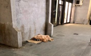 UŽAS U NOVOM PAZARU! Deca od 3 godine “po kazni” spavaju na pločniku uzas-u-novom-pazaru!-deca-od-3-godine-“po-kazni”-spavaju-na-plocniku