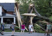 Četvoro mrtvih i 900.000 domaćinstava bez struje u olujama u Kanadi cetvoro-mrtvih-i-900.000-domacinstava-bez-struje-u-olujama-u-kanadi