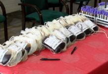 U Novom Pazaru prikupljene 42 jedinice krvi u-novom-pazaru-prikupljene-42-jedinice-krvi