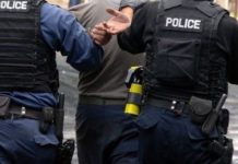 Posle otkrivanja plantaže marihuane uhapšen policajac iz Severne Mitrovice, sumnjiči se da je oštetio nadzorne kamere posle-otkrivanja-plantaze-marihuane-uhapsen-policajac-iz-severne-mitrovice,-sumnjici-se-da-je-ostetio-nadzorne-kamere