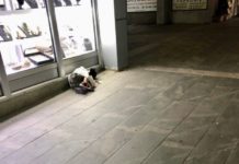 Apel nadležnim institucijama! Prava romske dece višestruko ugrožena apel-nadleznim-institucijama!-prava-romske-dece-visestruko-ugrozena