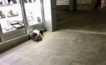 Apel nadležnim institucijama! Prava romske dece višestruko ugrožena apel-nadleznim-institucijama!-prava-romske-dece-visestruko-ugrozena