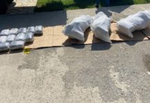 Kraljevčanin prevezao 50 kilograma marihuane sa Kosova! Uhapšen u Mladenovcu prilikom primopredaje kraljevcanin-prevezao-50-kilograma-marihuane-sa-kosova!-uhapsen-u-mladenovcu-prilikom-primopredaje