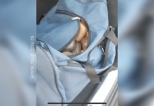 EKSKLUZIVAN VIDEO! Pogledajte akciju policije u kojoj je uhapšen R.P. iz Novog Pazara sa 20 kilograma heroina ekskluzivan-video!-pogledajte-akciju-policije-u-kojoj-je-uhapsen-rp.-iz-novog-pazara-sa-20-kilograma-heroina