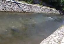 ZASTRAŠUJUĆE SCENE U NOVOM PAZARU! Nepoznata tečnost se uliva u reku! Nadležni tragaju za zagađivačem zastrasujuce-scene-u-novom-pazaru!-nepoznata-tecnost-se-uliva-u-reku!-nadlezni-tragaju-za-zagadjivacem